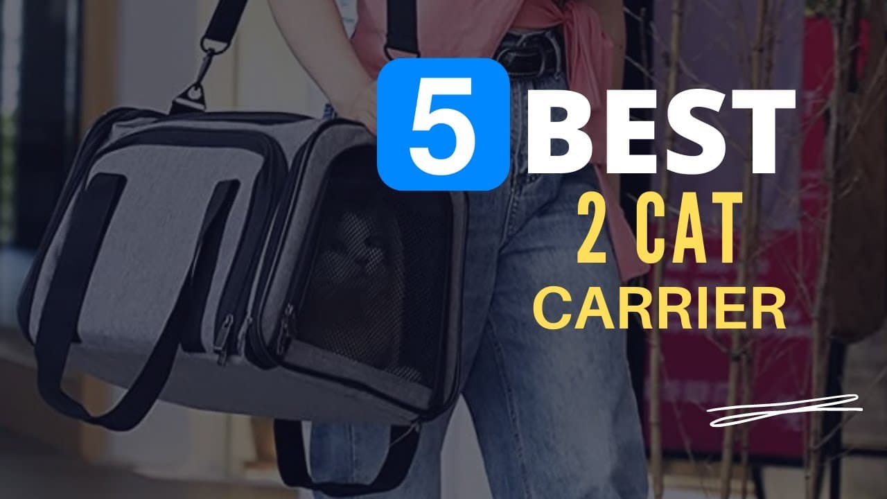 Video thumbnail about cat carrier for two cats